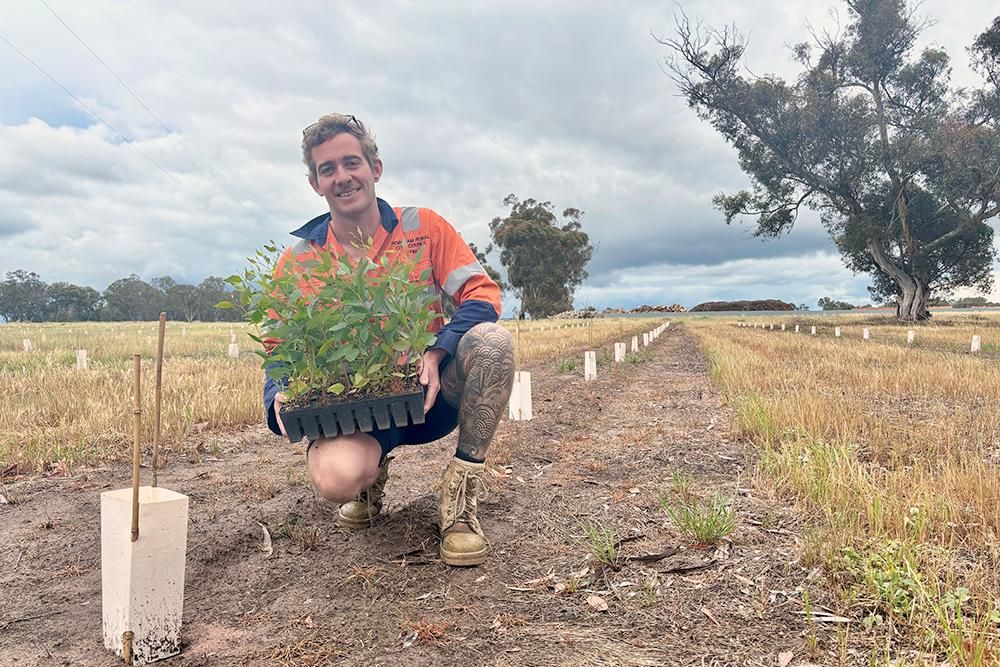Tim Winfield with some of the trees planted at Burnt Creek recently.