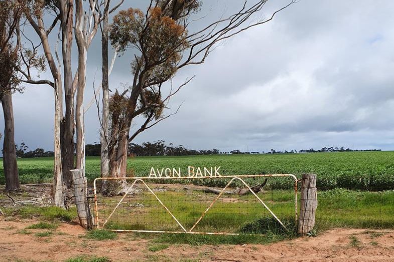 The Avonbank Mineral Sands Project was approved by a Minister for Environment and Water delegate under the Environment Protection and Biodiversity Conservation Act 1999.
