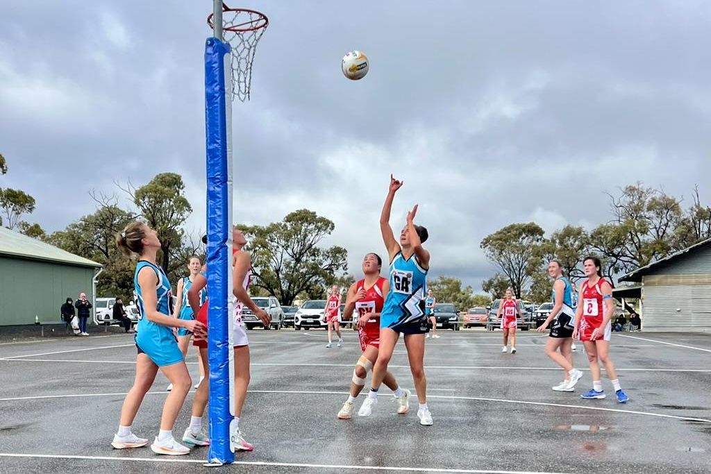 Steph Thomson and the Southern Malee Thunder have been in form in recent weeks.