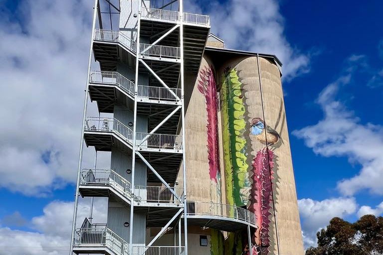 Geoffrey Carran recently painted the mural at the Llew Schilling Silo, as some internal works are still going on at the site.