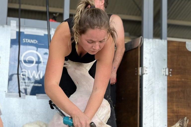 Jasmine Morris showing her skill in the shearing competition at the 2025 Natimuk Show.