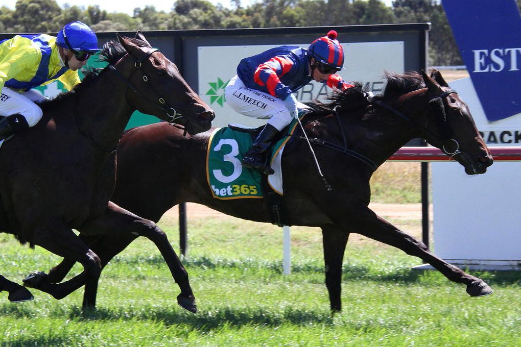 Stawell jockey Linda Meech scores the first of two wins for the day, starting in style with Corro in race 1.