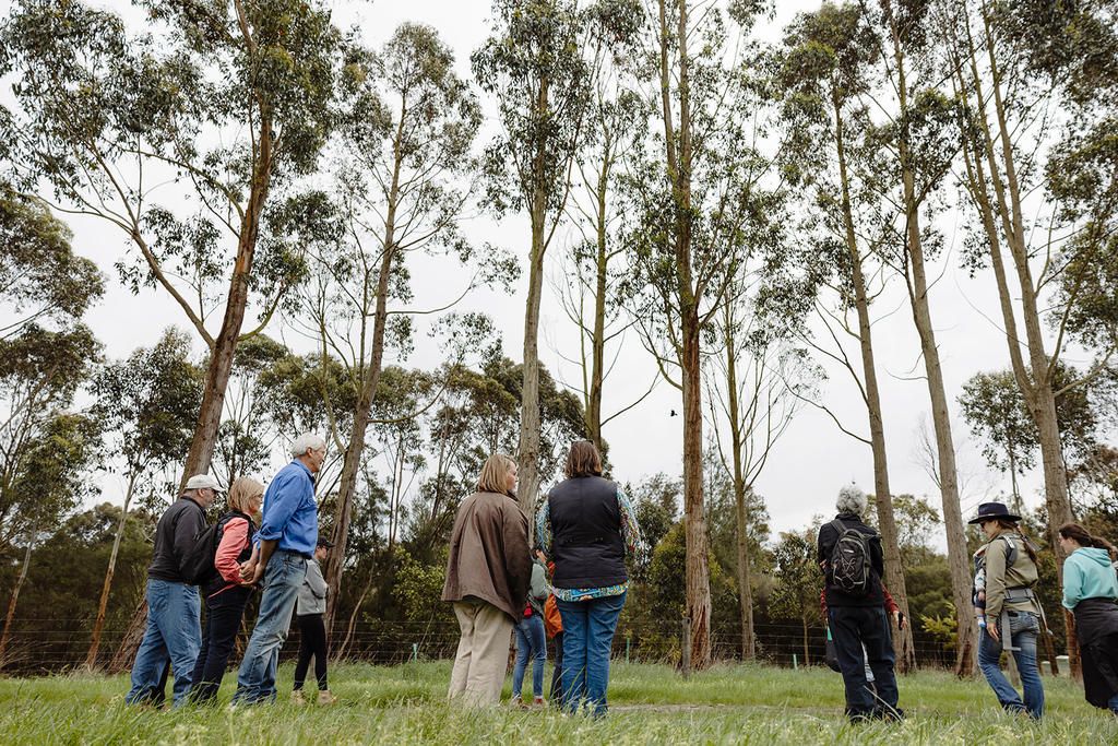 The sixth Wimmera Rural Landholder Survey is now underway, gathering insights into the region’s farming priorities and challenges. The survey helps direct investment in Wimmera research, knowledge and events such as on-farm field days like last year’s Wimmera farmer tour to Yan Yan Gert Farm in the Otways.