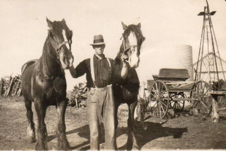 A soldier settler worked his block with horses and by hand, despite the debilitating effects of his exposure to mustard gas.