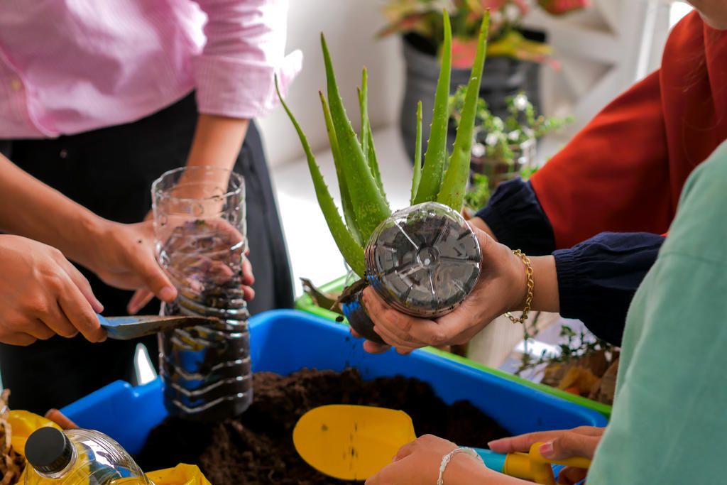 The Healthy Soils Competition has inspired about 10,000 students to look differently at the ground beneath their feet.