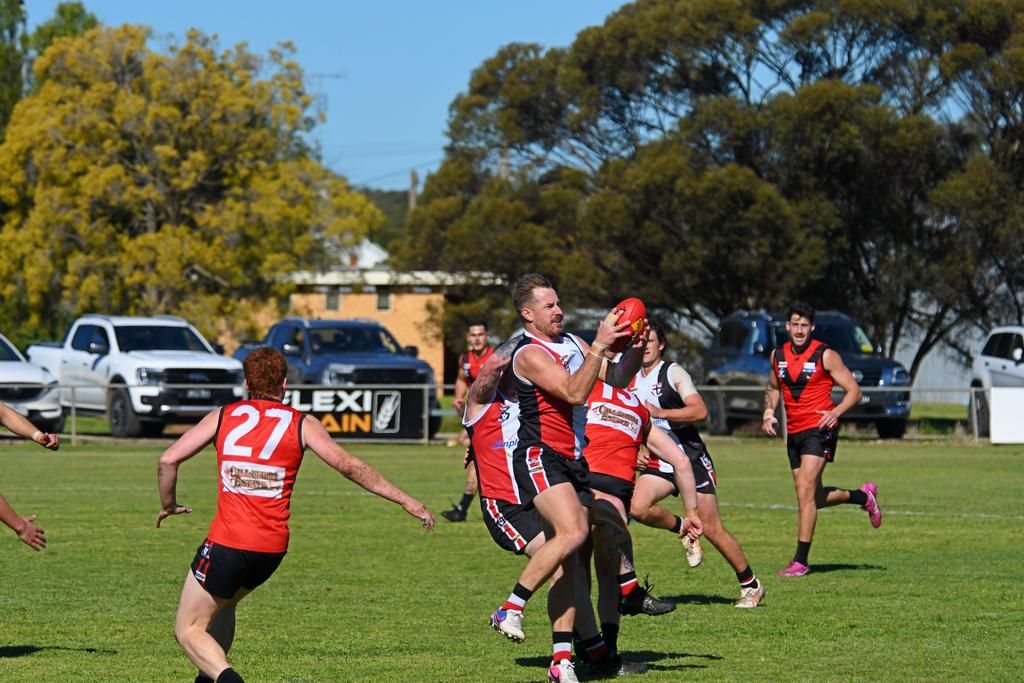 Rory Taggert was dominant in the Saint's win on Saturday, booting six majors in a best on ground performance.