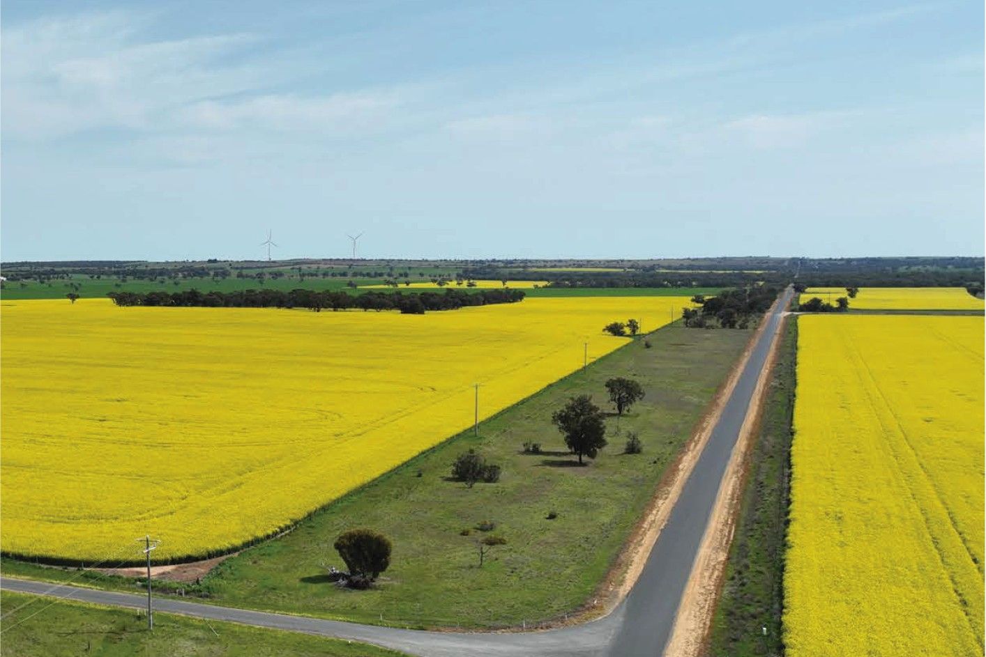 Economic plan open for comment - feature photo