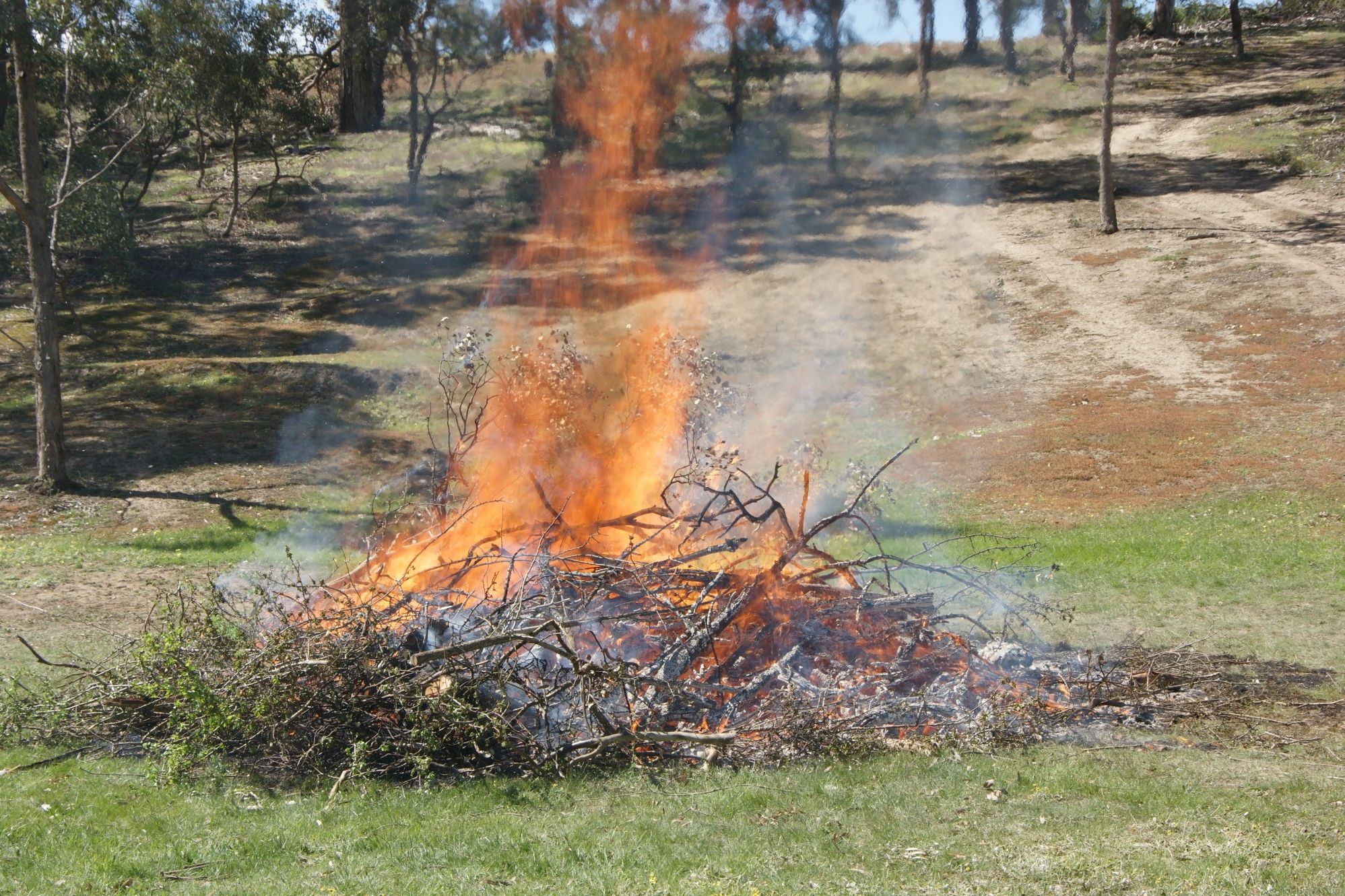 The CFA urges anyone planning a burn-off to register it online