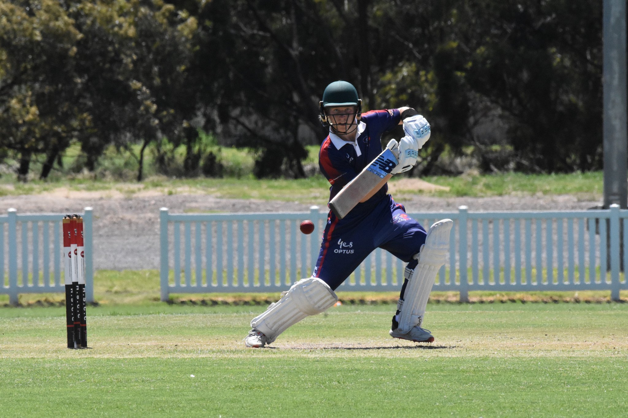 Harrison Hoffmann hits a single against Wimmera Mallee