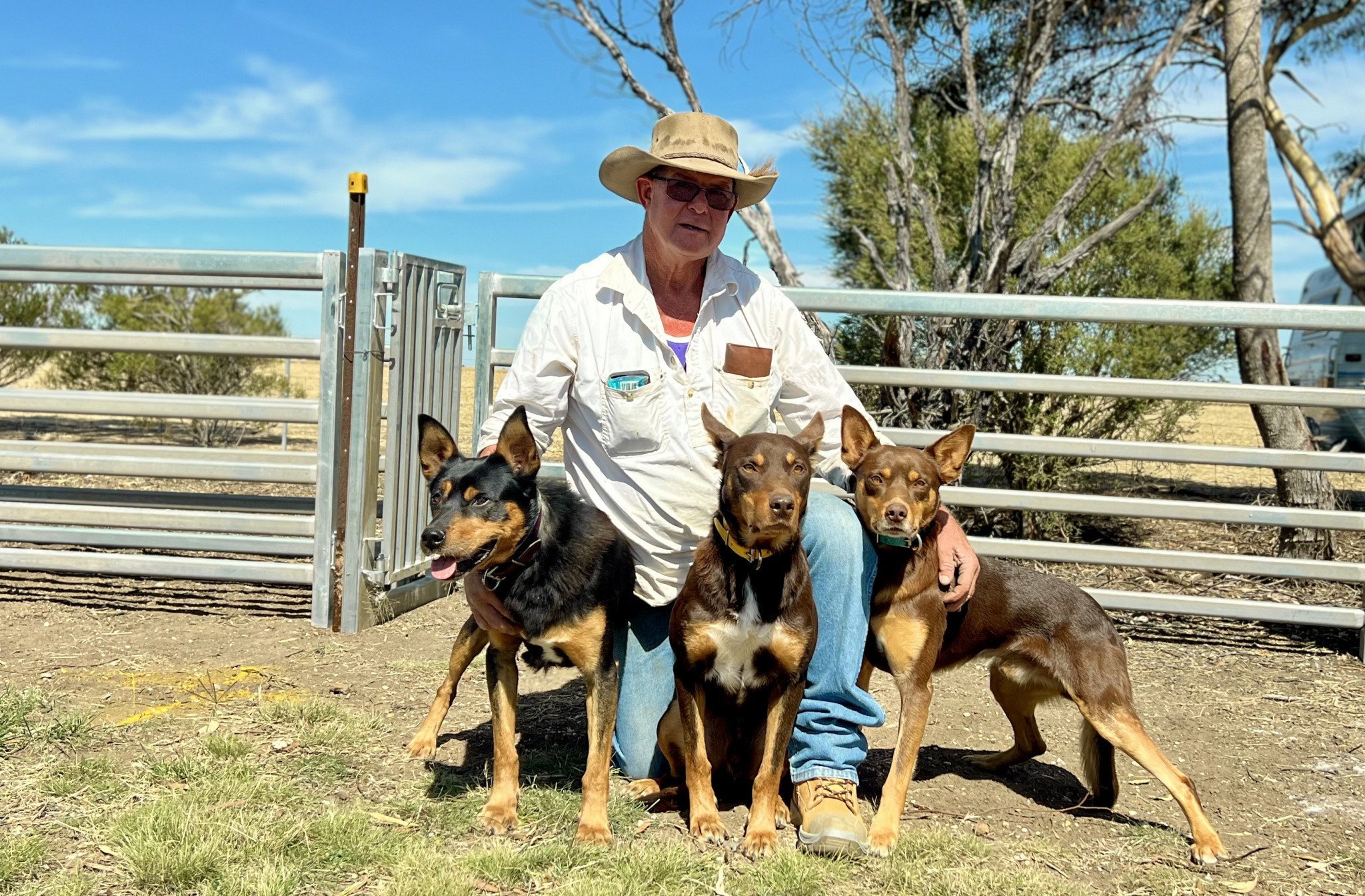 Harrow's Herb Cooper will take the judge's seat at the 133rd Natimuk Show, bringing his expertise in working dogs to the competition. A proud kelpie owner, with Squirt, Exell and Noah by his side, Mr Cooper will assess the show's top contenders this weekend at Natimuk Showgrounds.