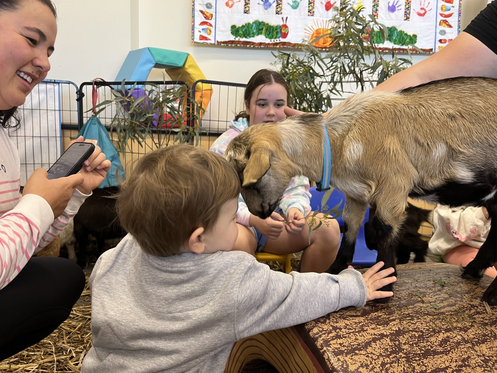 Cooper Hepburn 14 months old enjoyed the tiny goats at the Horsham Library. Photos: EMILY FRIEDRICHSEN