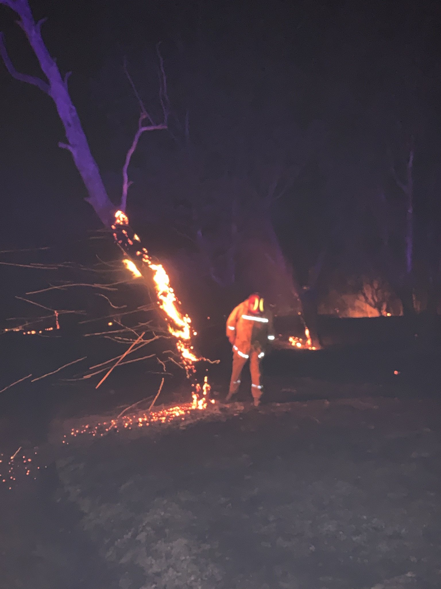 WIDOWMAKER: CFA District 17 commander Lindsay Barry inspects a burning tree ready to fall as the fire hits the outskirts of Dimboola on Monday evening. The tree is one of the thousands burned during the bushfires started by dry lighning in the Little Desert. Photo: DAVID WARD