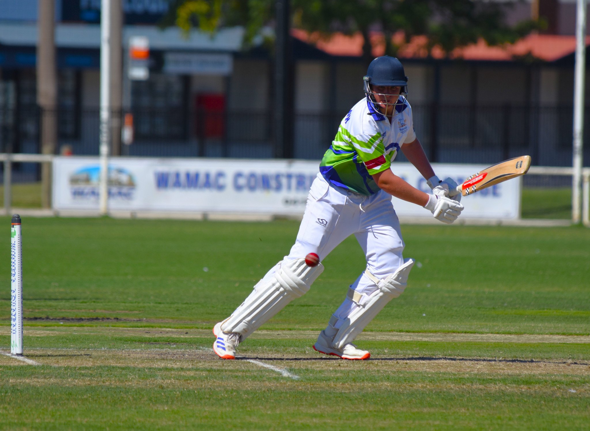 Luke Weidemann scored 60 off just 54 runs to help the Renegades chase down the Tigers in Monday's grand final.