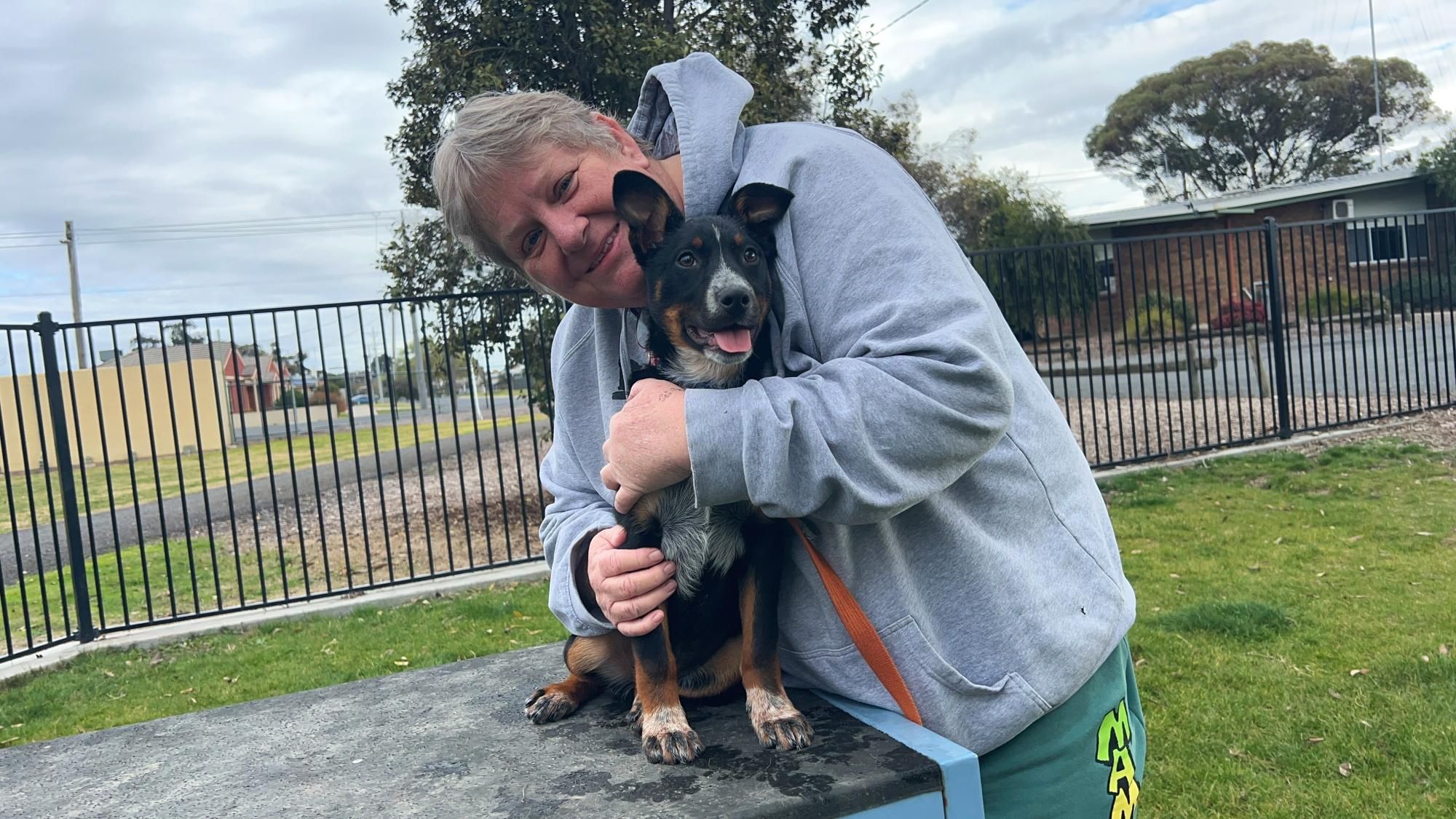 Phoenix Animal Rescue Horsham director Carolyn Stow and puppy in foster care, Amy. Picture by John Hall