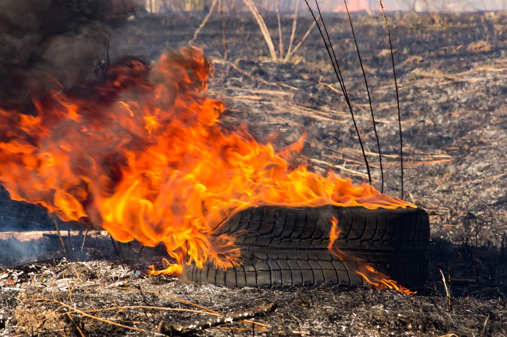 EPA warns of consequences of illegal burns to health and environment. Picture by SHUTTERSTOCK