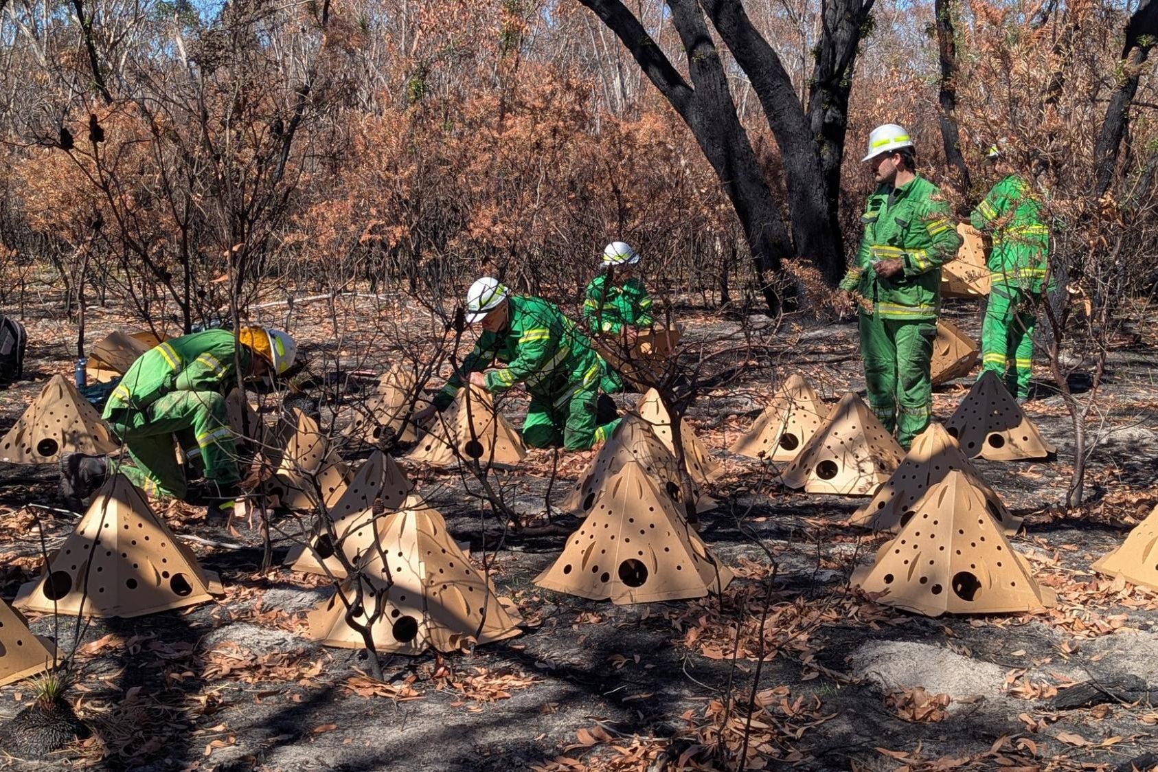 Parks Victoria field officers left 160 habitat pods at two high-value conservation sites impacted in the Yarram Gap firescar. Picture supplied via VicEmergency Facebook page