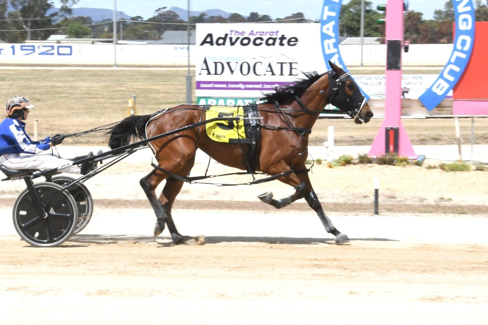 The pre-post favourite for Sunday's 2024 E Cycle Solutions Stawell Pacing Cup Franco Novelist, strolls to victory at Ararat recently with driver Luke Dunne enjoying an armchair ride. Picture courtesy of Claire Weston Photography