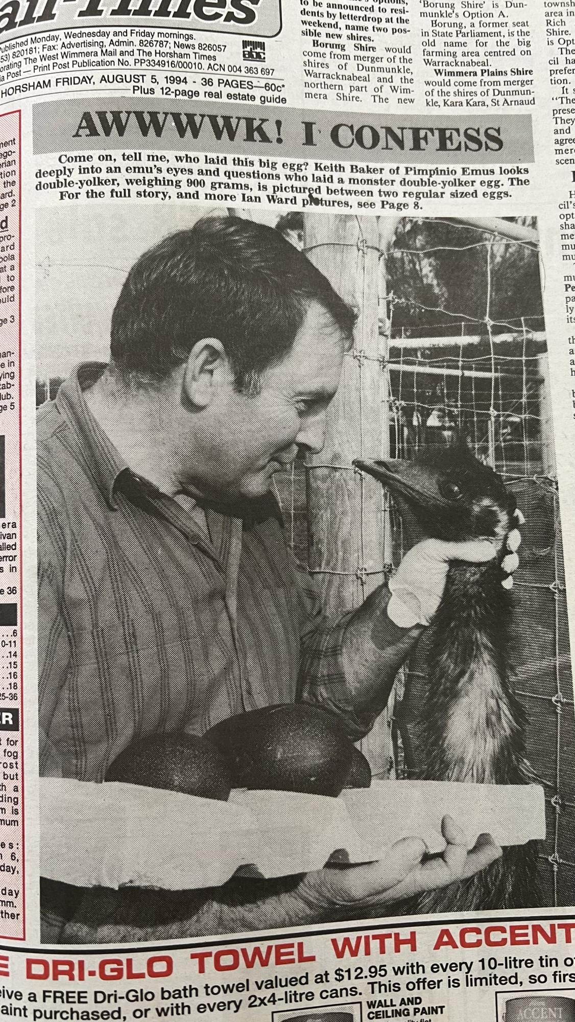 The double-yold emu egg was front page news in August 1994. File picture