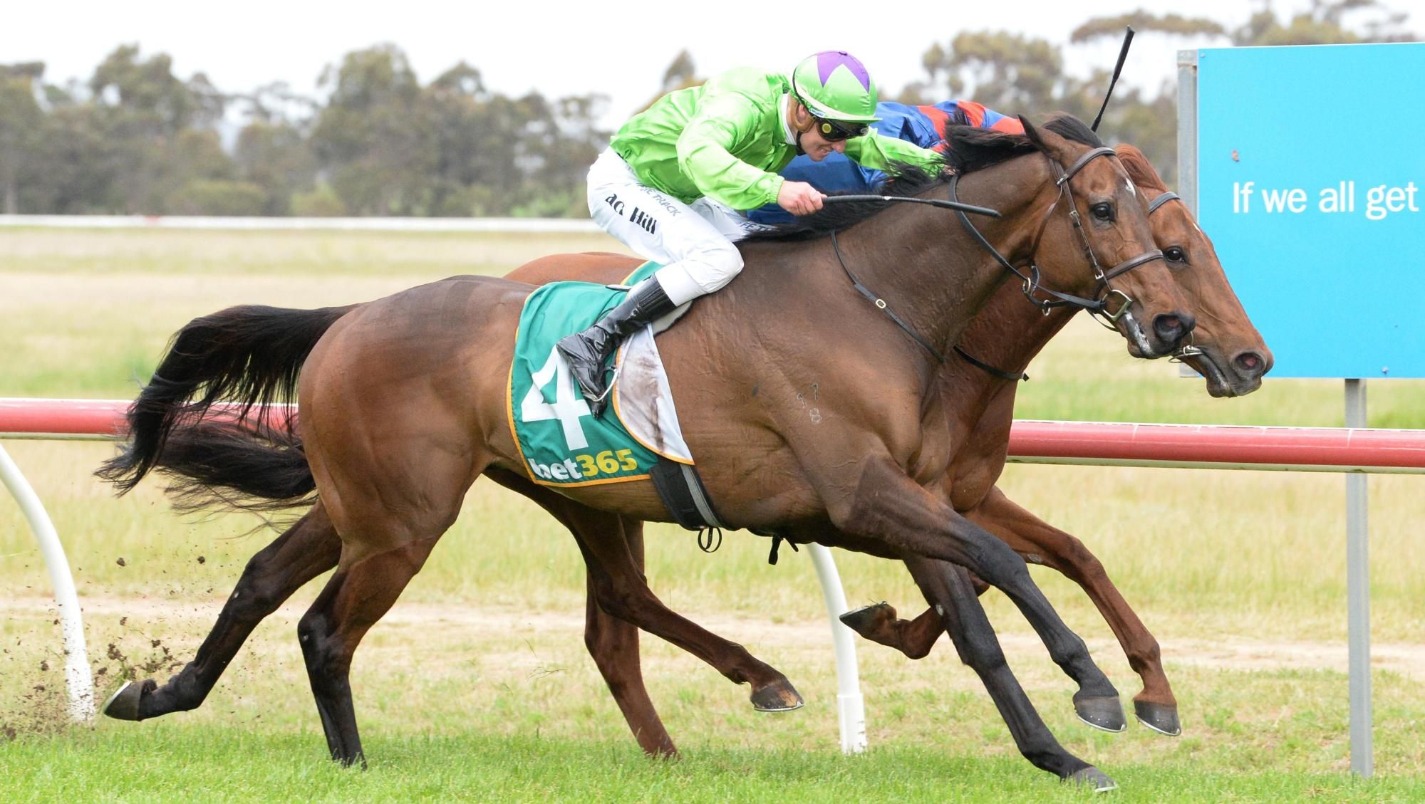 Station One ridden by Jack Hill wins the 2024 Murtoa Cup. Picture by Ross Holburt/Racing Photos