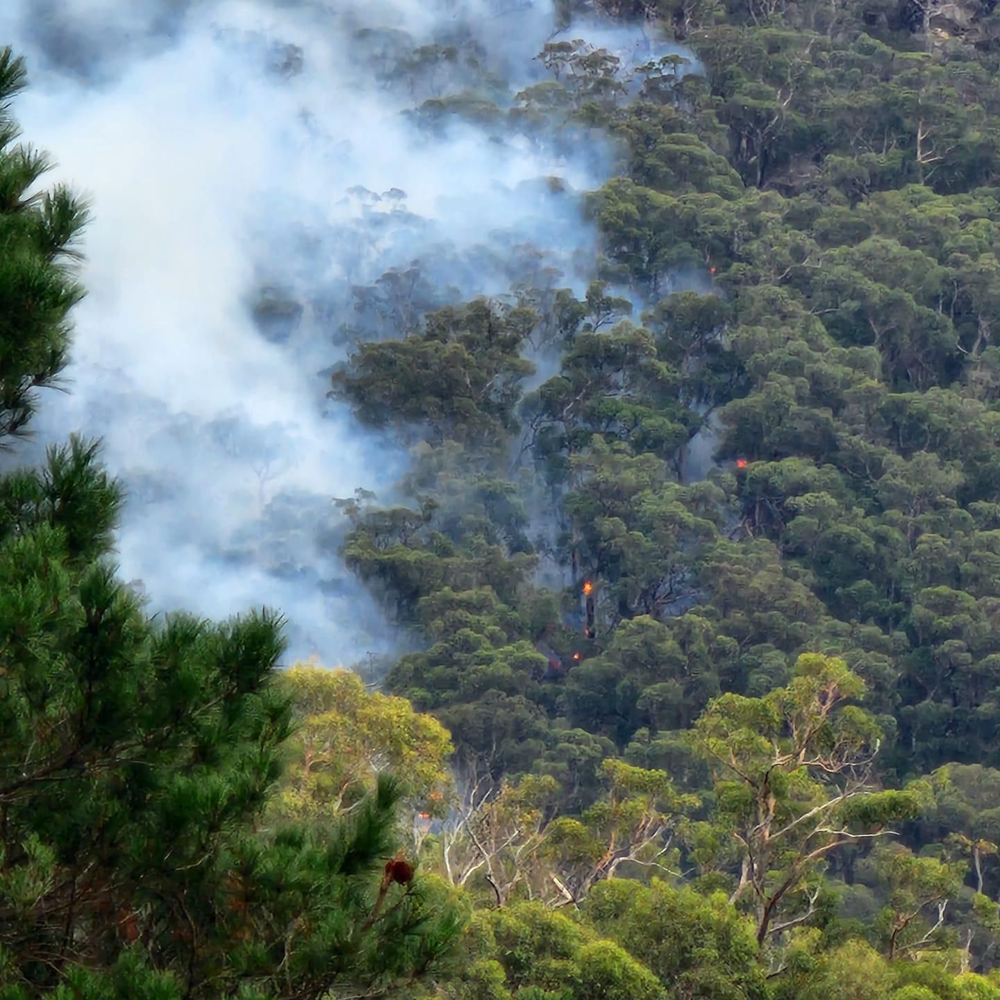 Authorities believe the bushfire just outside of Halls Gap was the result of 'irresponsible' campers. Picture supplied by YHA Grampians Eco