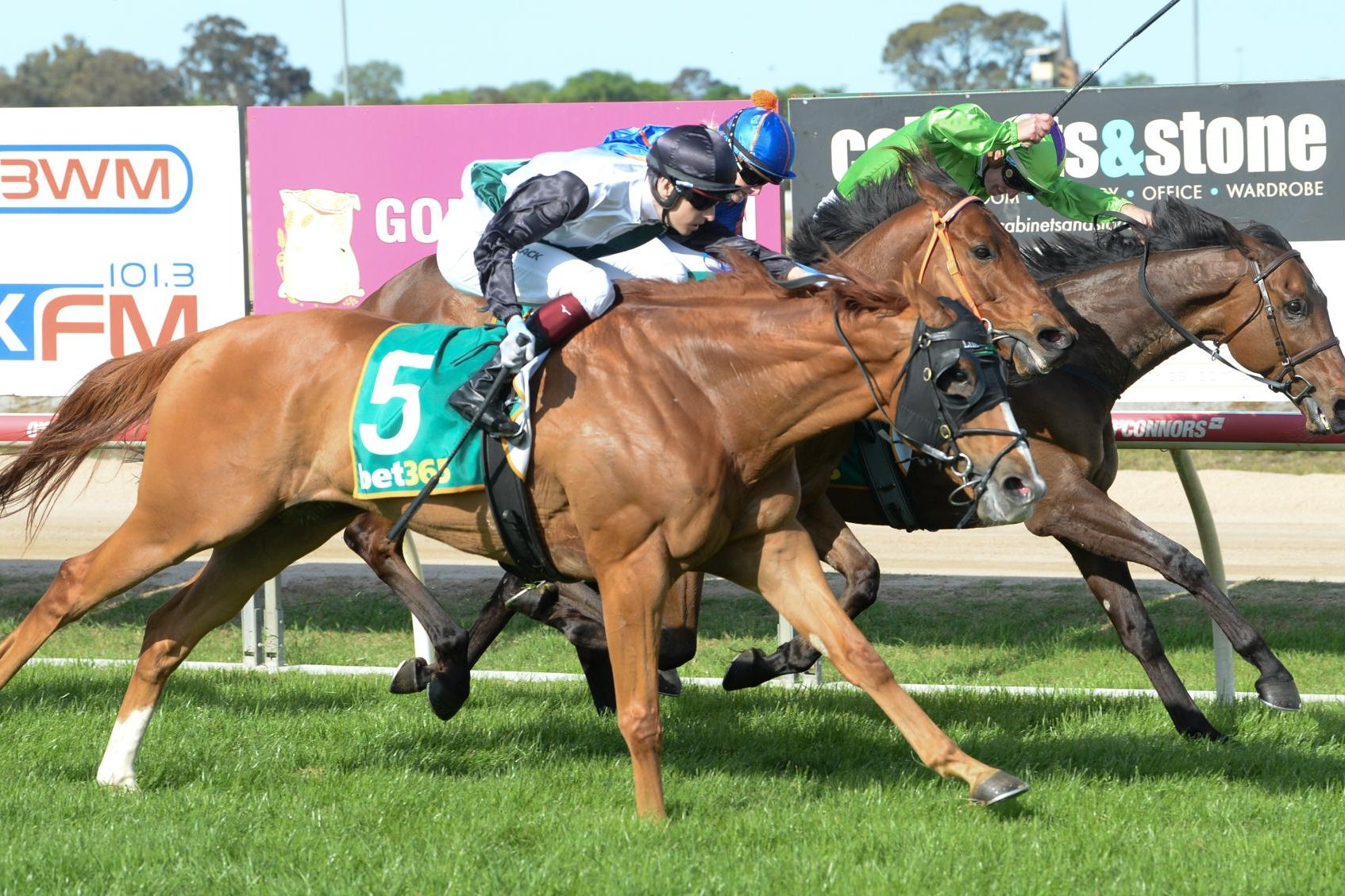 Dublin Journal ridden by Fred Kersley wins the Horsham Cup on October 20, 2024. Picture by by Ross Holburt/Racing Photos