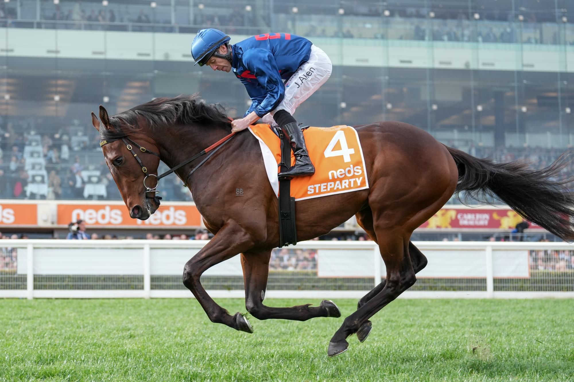 Steparty on the way to the barriers prior to the running of the Neds Caulfield Guineas at Caulfield Racecourse on October 14, 2023 in Caulfield, Australia. (Photo by Scott Barbour/Racing Photos)