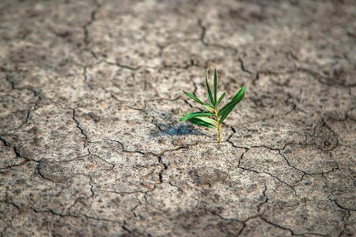 The Victorian government has announced an additional $75 million in drought support, bringing the total to $144 million.