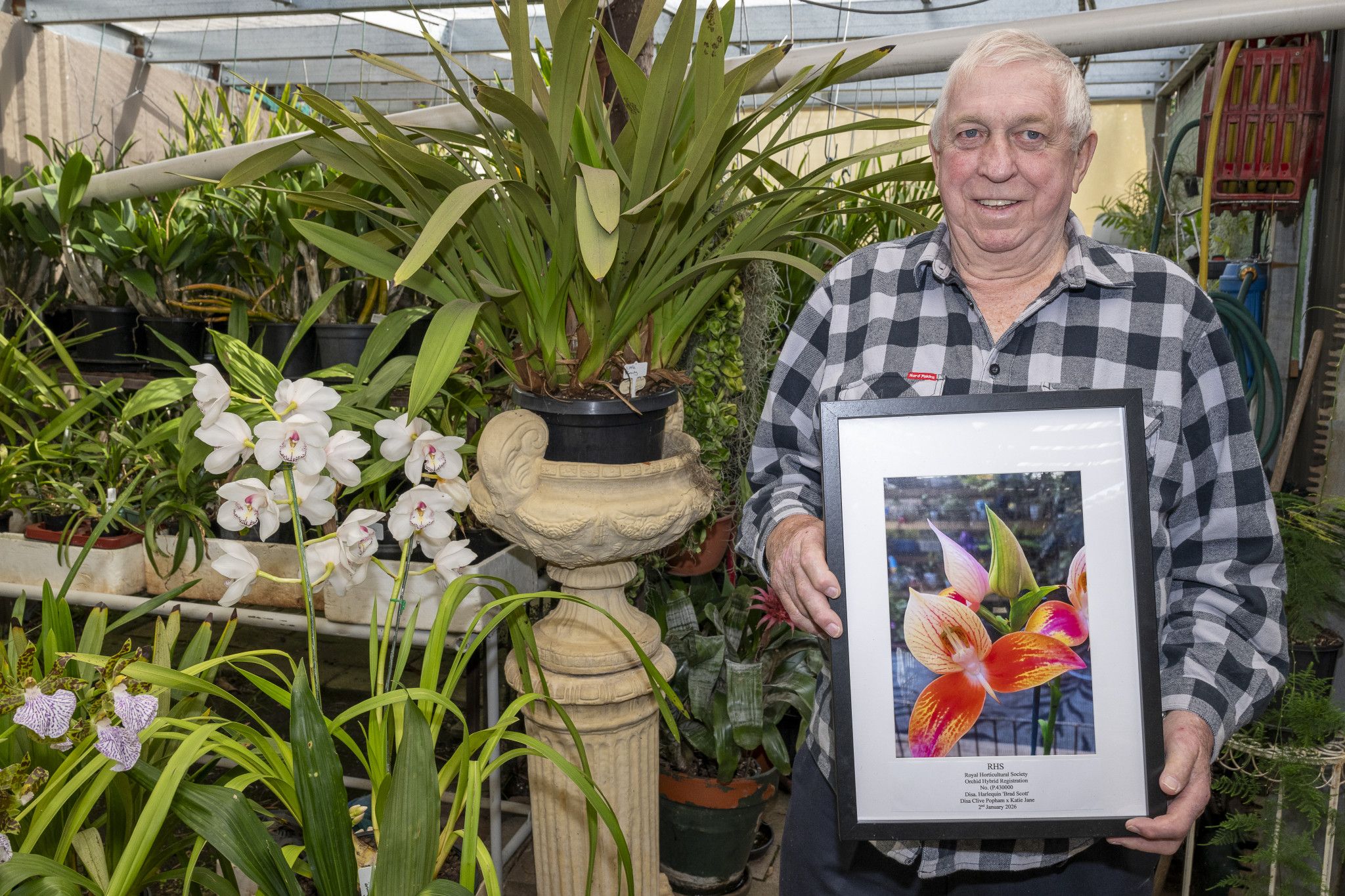 Coming to Dimboola in August will be a special meeting of the Horsham and District Orchid Society, with tours of gardens in town to view orchids and see a demonstration of repotting the iconic flowering plant. President Brad Scott will be there, his expert status attested to by the recent naming of an orchid after him.