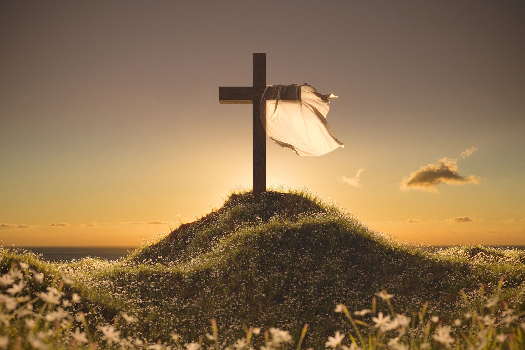 In Good Faith: - feature photo