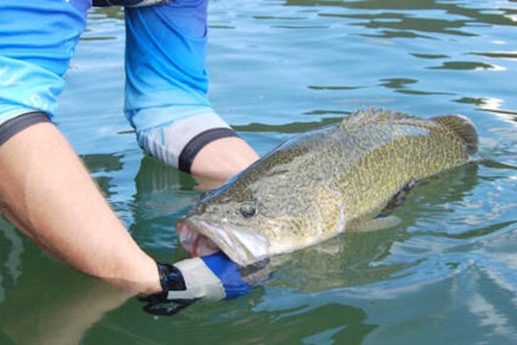Cod season open - feature photo