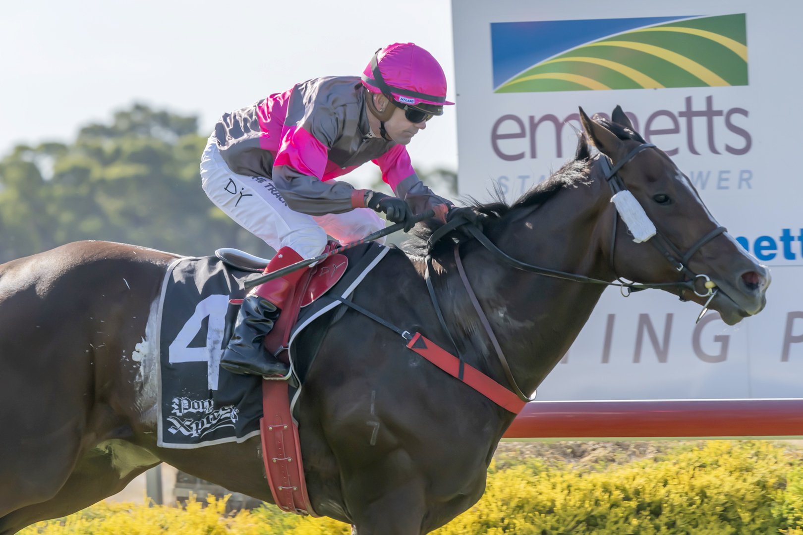 Dean Yendall steers Thunder Point home.