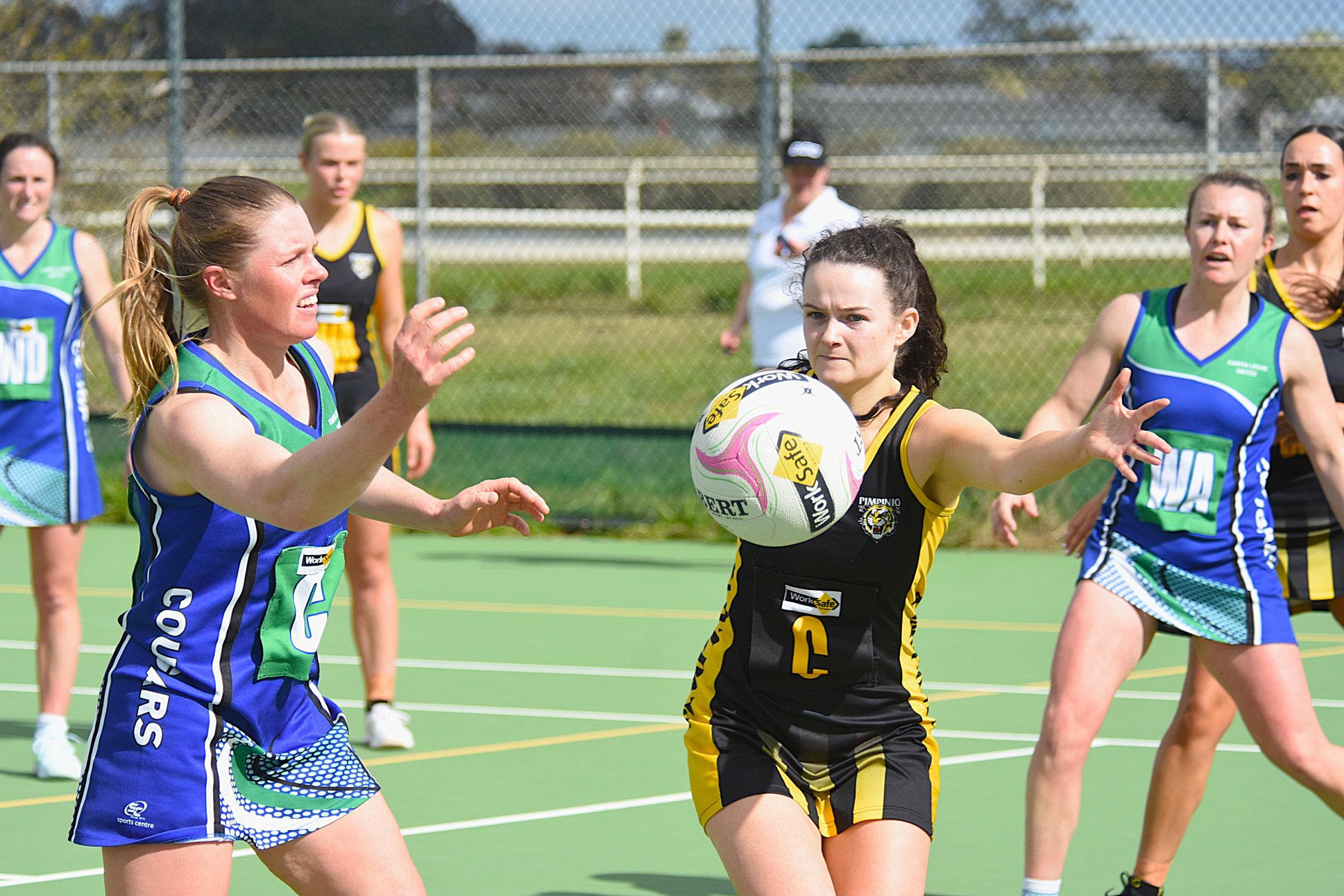 Pimpinio's Emily Hannan attempts to deflect a pass by Kaniva Leeor's Ellen Bennett. The Tigers prevailed 56-46 in the round 18 clash, with the win helping them progress to the A grade netball finals for the first time since 2005.