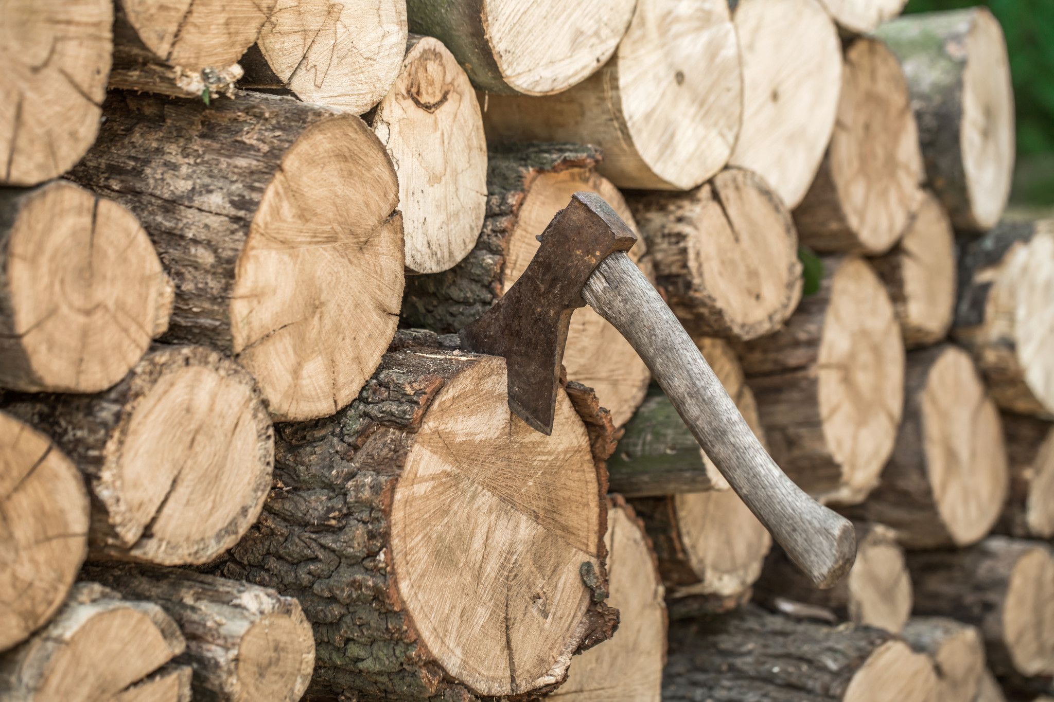 Firewood collection areas are now open for spring.