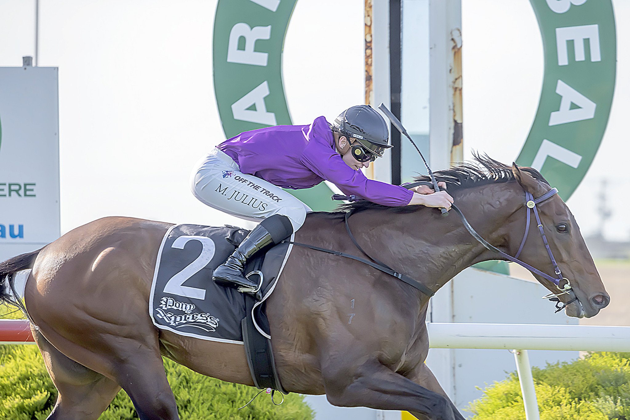 Easter race meeting set to sizzle - feature photo