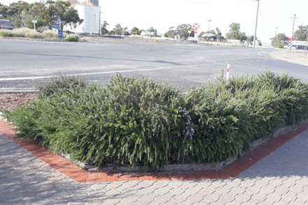 Gardens granted a fresh look this spring - feature photo