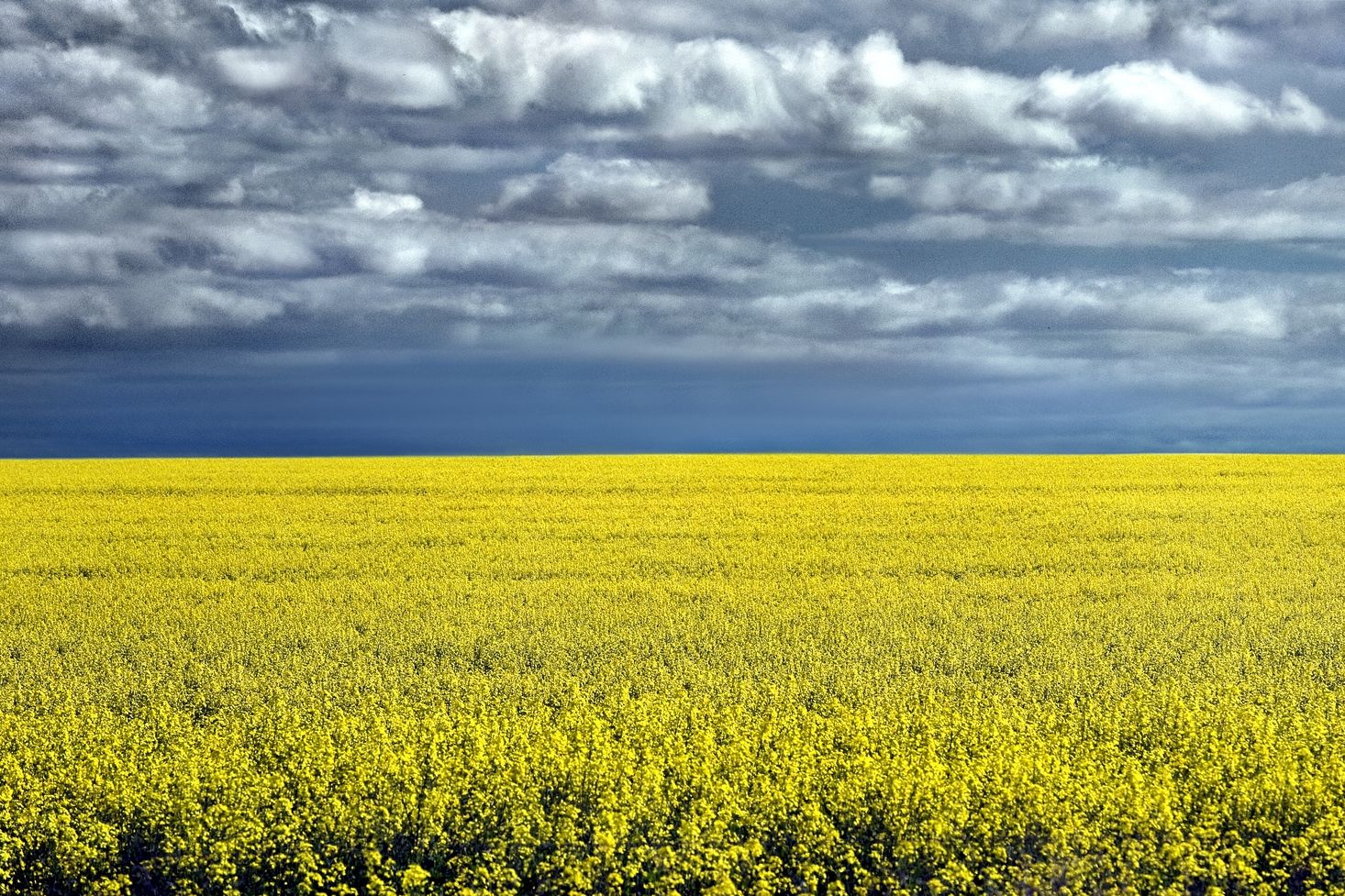 The landholder survey helps direct investment in Wimmera land management research and knowledge.