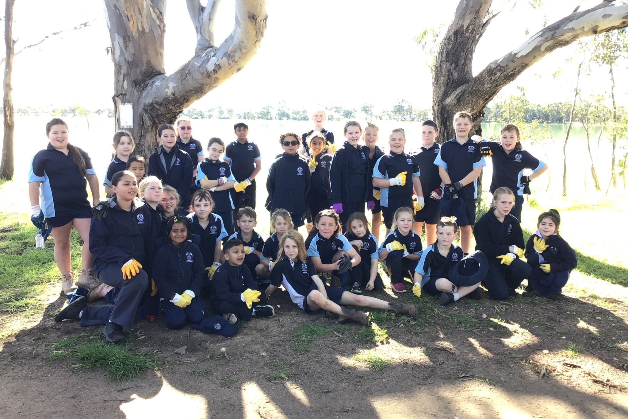 St Joseph's pupils take part in National Schools Tree Day.