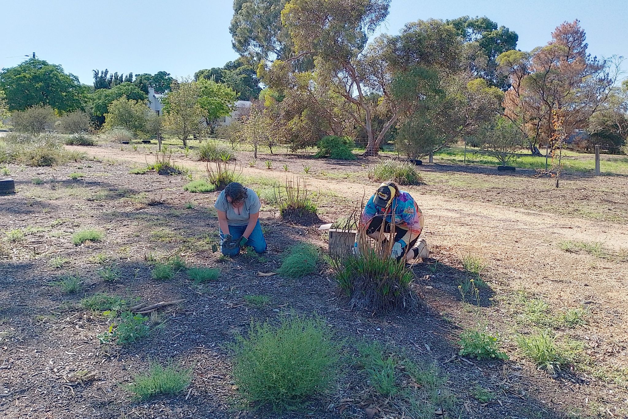 Weeding preparations for community garden - feature photo