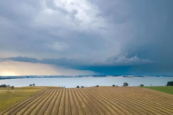 The Rainfall Mapper app enables farmers to make more informed decisions, including with crop planning and irrigation strategies.