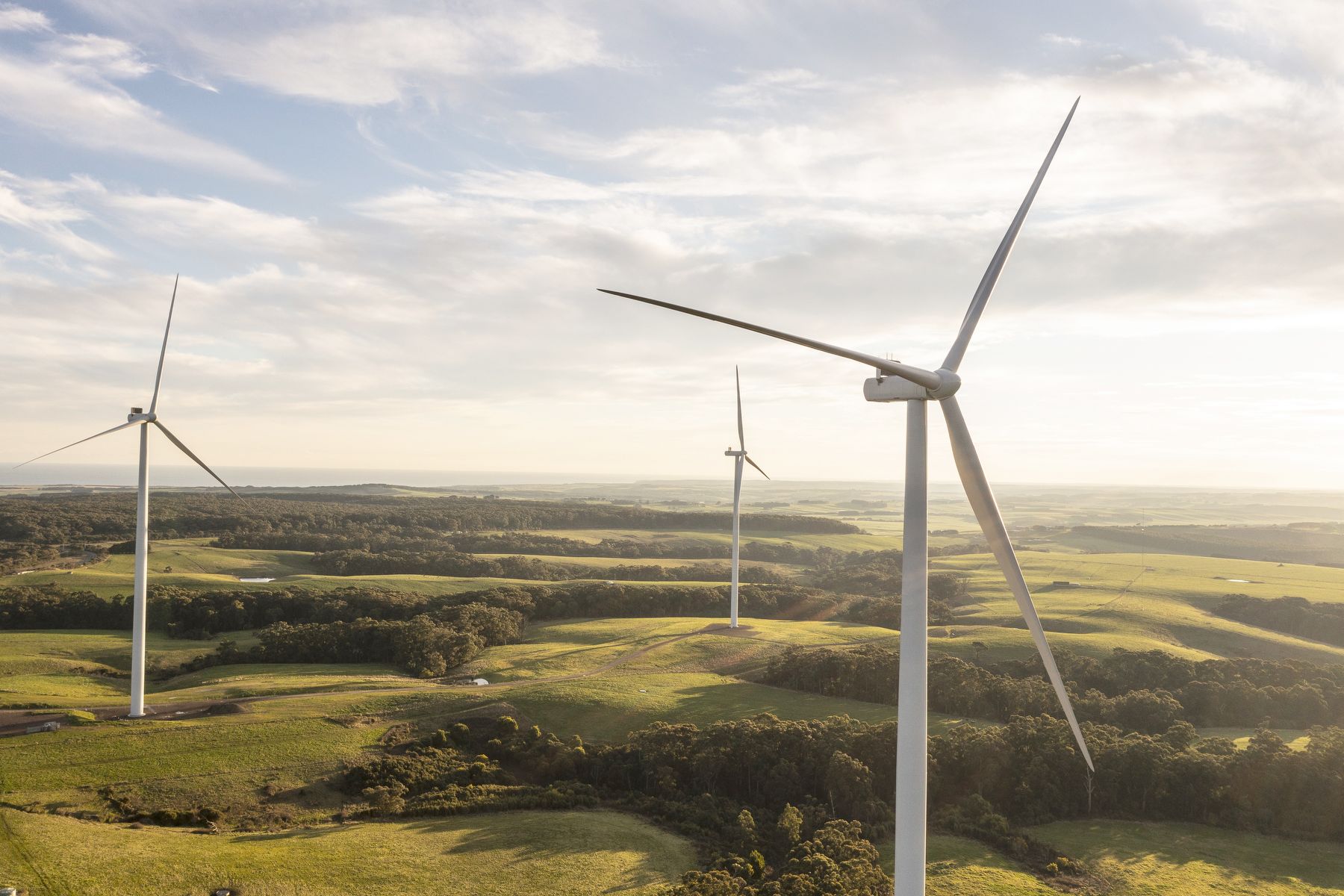 Wimmera Plains turbine plans in the wind - feature photo