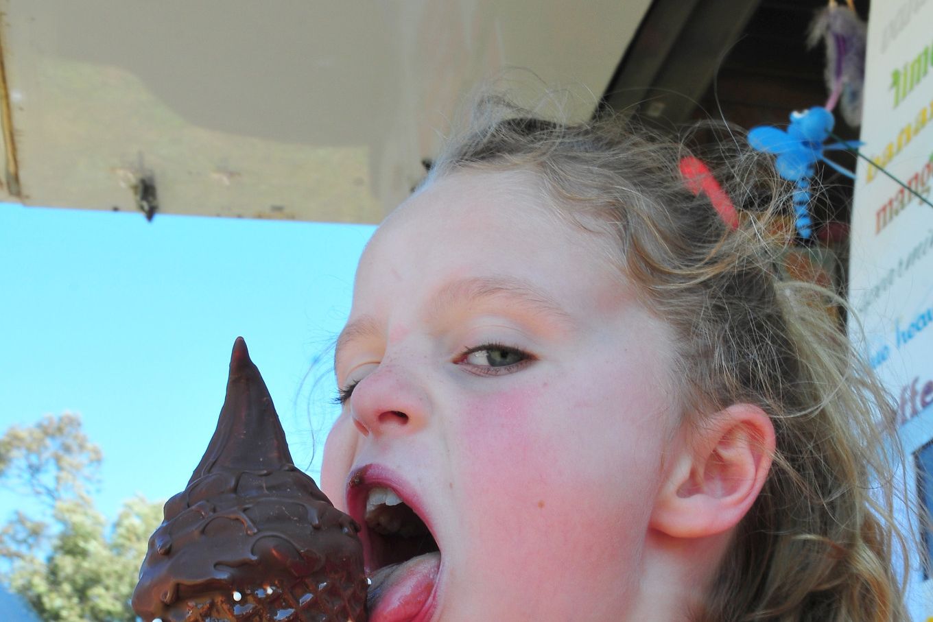 Sweet treats are a staple at country shows.