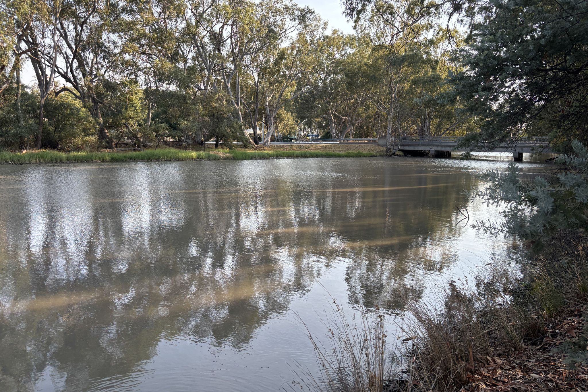 Yarriambiack Creek (pictured) in Warracknabeal, Lake Marma in Murtoa and Lake Wallace in Edenhope have unsafe levels of blue-green algae.