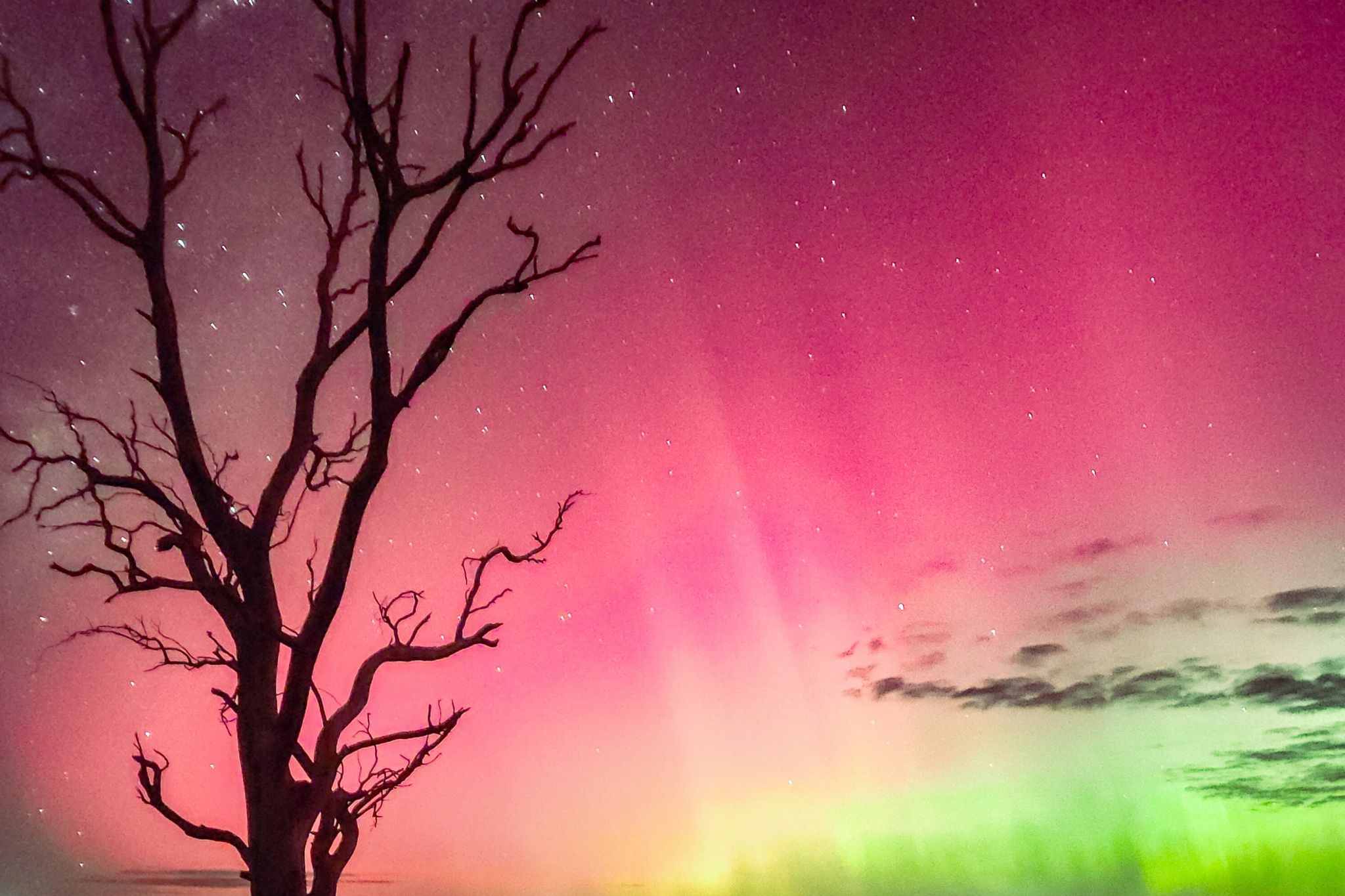 Thousands gaze skywards in awe-rora - feature photo