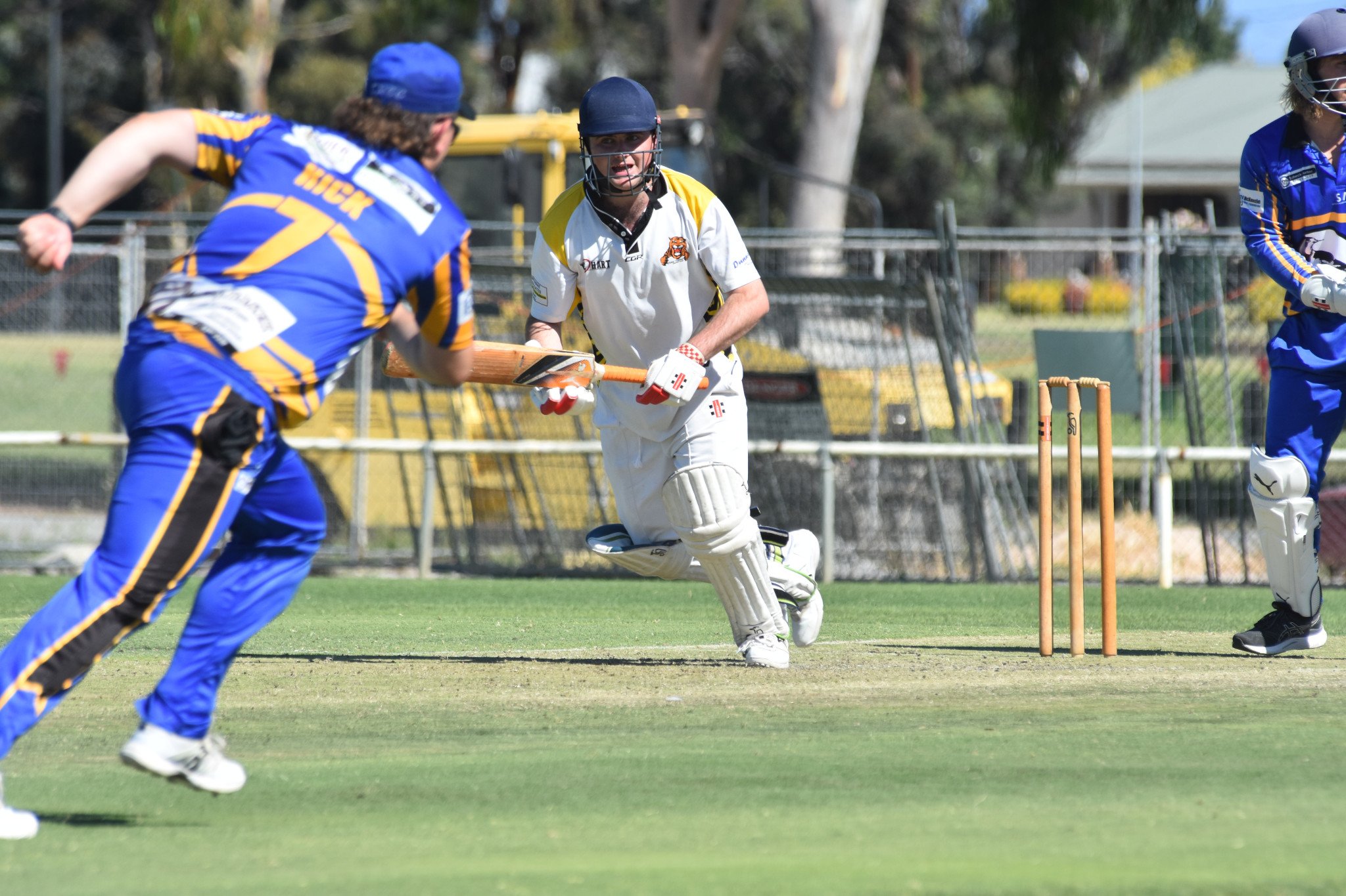 Tigers Brenton Hallam looks for a quick single.