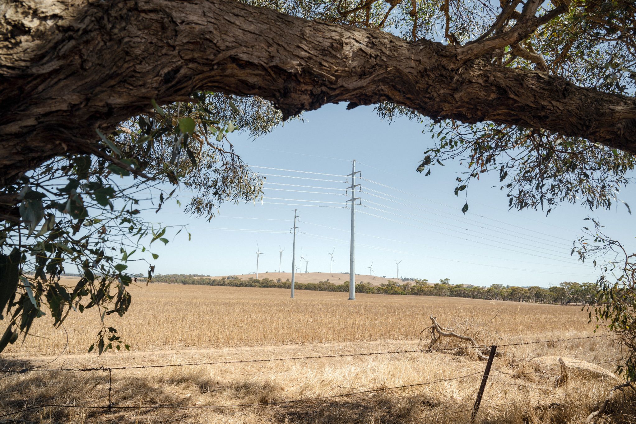 Monopole transmission lines near Bulgana.