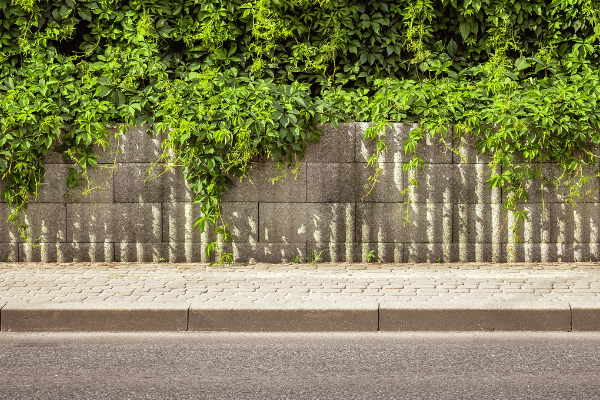 Clear accessibility on footpaths will be addressed as inspections in the Shire begin.