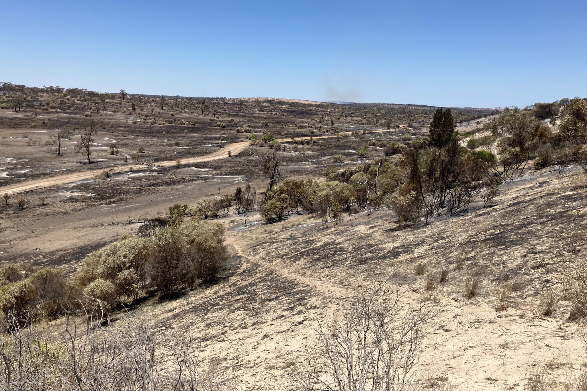 The Patchewollock fire is still burning in spots, but is now totally under control.