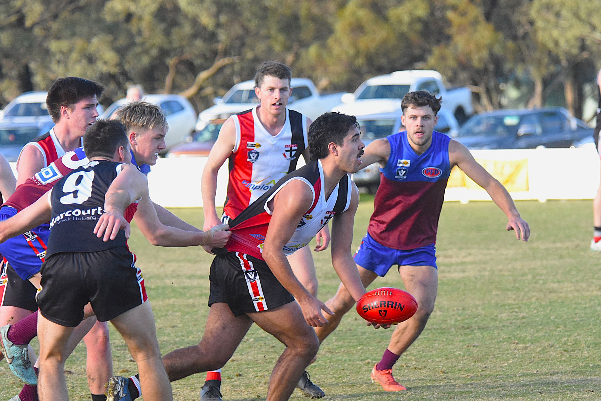 Horsham Saints claimed Pelican Cup bragging rights with a commanding 129-54 win over rivals Horsham.