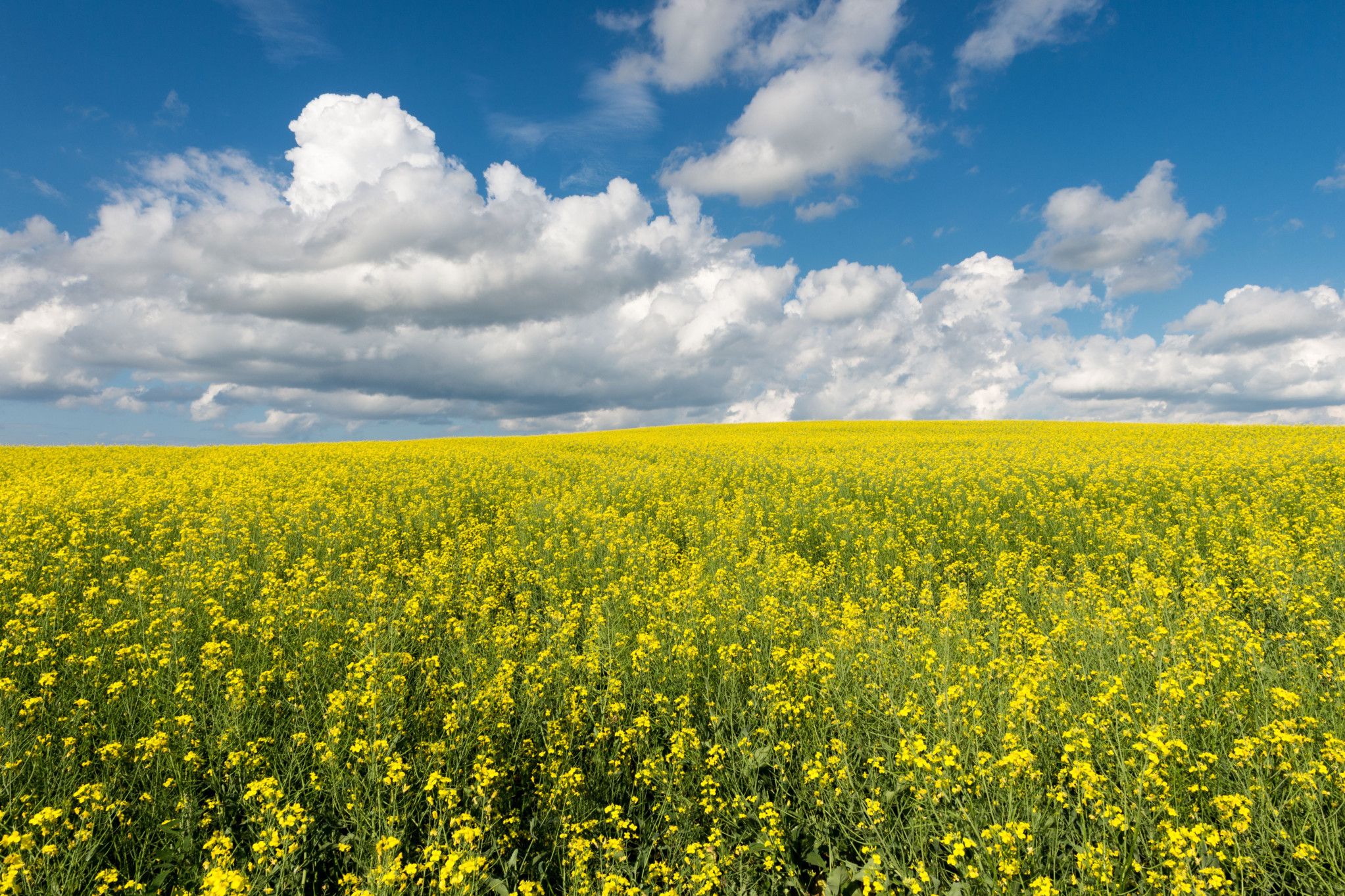 Hopetoun and district farmers are invited to attend a free two-day farm business workshop at the Hopetoun Golf Club in September.