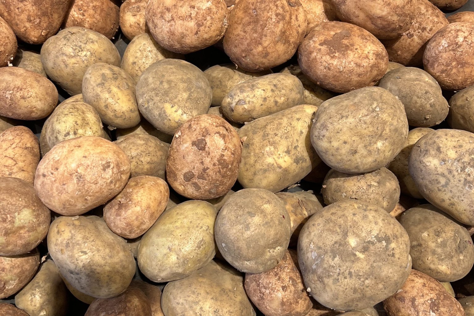 Farm Frites Australia facility in Dooen will create 250 jobs for local workers.